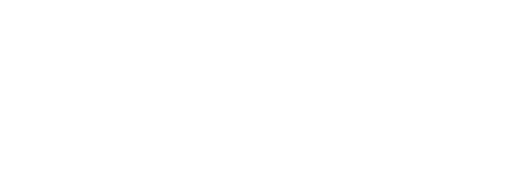 Wellspring DPC