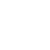 Fractional CFO guidance icon